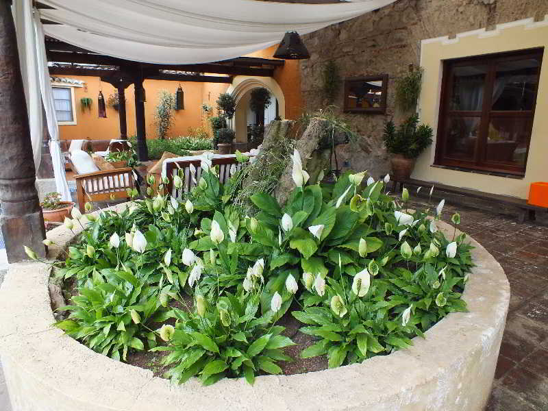 מלון Casa Santa Rosa Boutique 3*